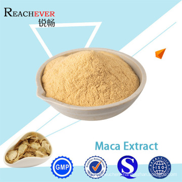 Maca